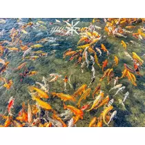神崎　唯