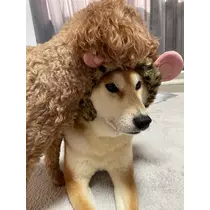 みり