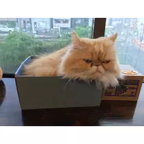 ユカ