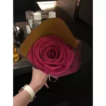 白石 愛莉