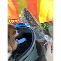 あいら
