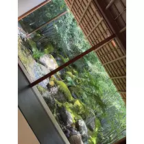 松田 千鶴