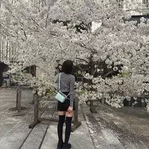 ふうか
