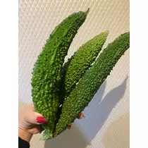 薫