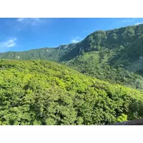 華宮 りりあ