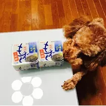 如月 凛