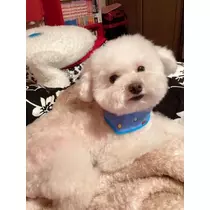 夏樹 あや