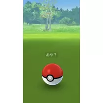 七星 夏純