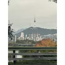 天月 あすな