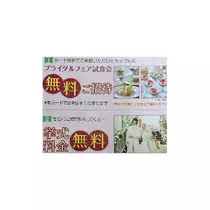 紫音