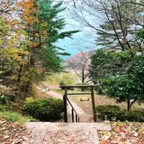 ゆかり
