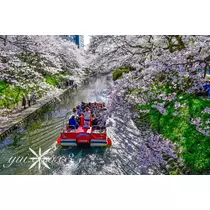 神崎　唯