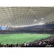 あみ