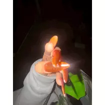 ラヴ