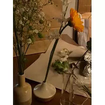 緑 四葉