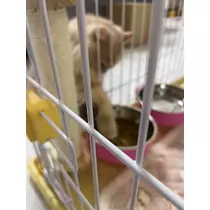 花咲 るり