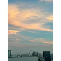 いずみ