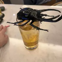 ぽぽ