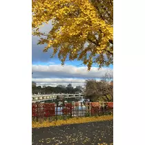 きょうか