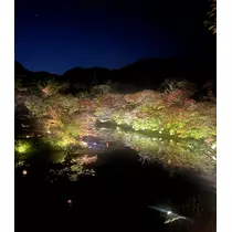 あおい