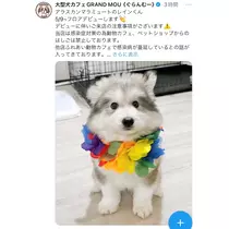 ゆら