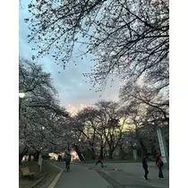 はる