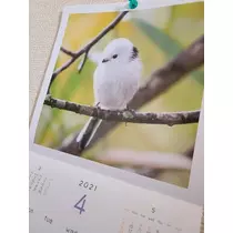 ひな