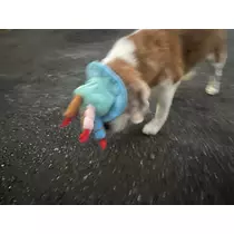 あおい