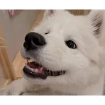 れな
