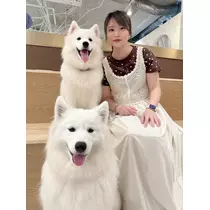 しおり