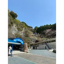 まこ