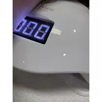 せら