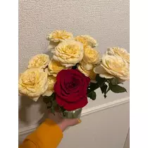 美月