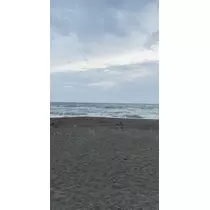 長瀬 純恋