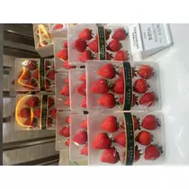 あおい