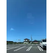 しおん