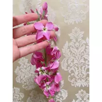 まこと