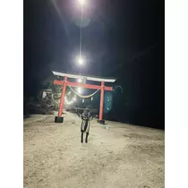 司