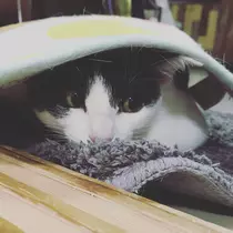 涼宮 れみ