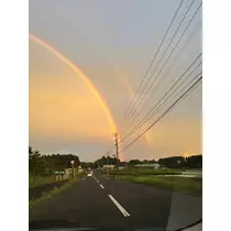 林檎