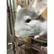 なっちゃん