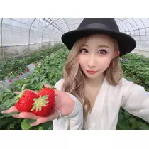 紗貴