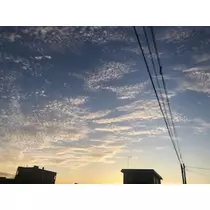 成海 まお