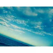 ゆかり