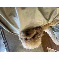 まり