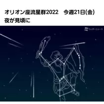 紫音