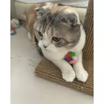 みつき