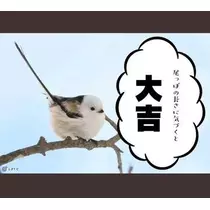 ひな