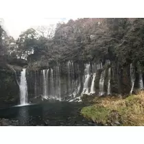 しゅり