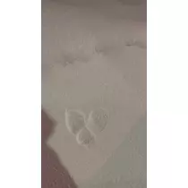 七星 ゆめ
